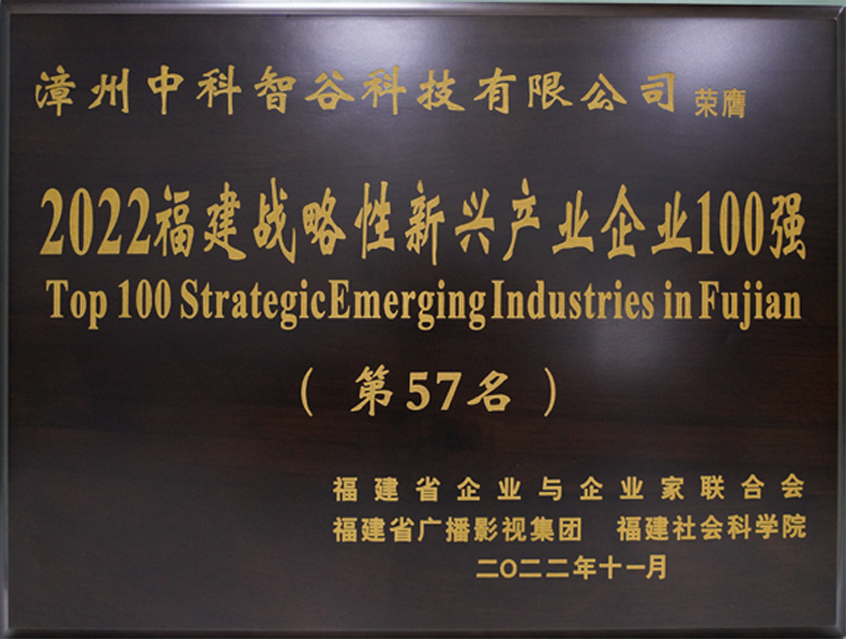 Top 100 strategic emerging enterprises in Fujian